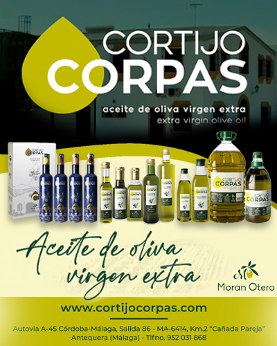 Villanueva de Algaidas refuerza la seguridad del municipio con tres nuevas zonas Cardioaseguradas 6